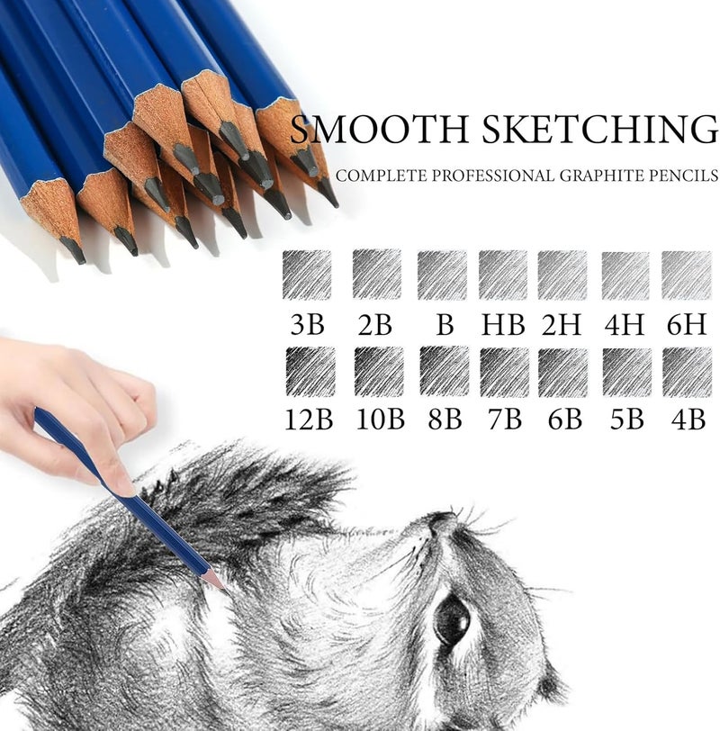 Daerthotk Pro Pencils Drawing Sketching Set 14 pcs Graphite (12B - 6H) Kit Soft Pencils Ideal Gift for Drawing Art, Sketching, Shading, Artist Pencils for Beginners Pro Artis - Image 5